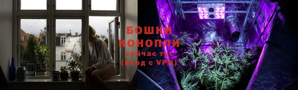 дурь Бородино