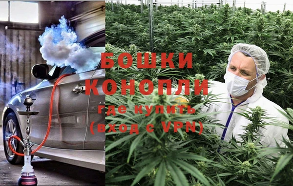 молекула духа Бугульма