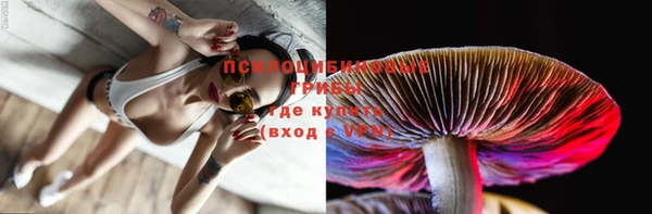 круглые Бронницы
