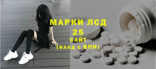 дурь Бородино