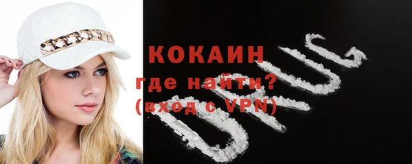 дурь Бородино