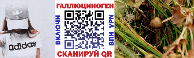 купить наркоту  Югорск  mega tor  Псилоцибиновые грибы Magic Shrooms 